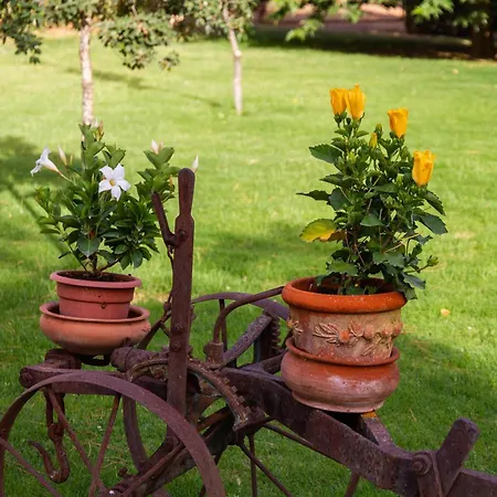 Çiftlik konaklama Capracotta - Aurora Montemassi