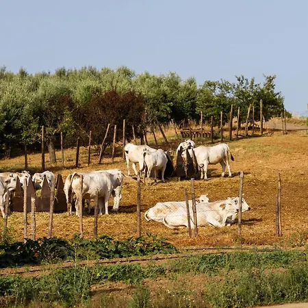 Farm stay Capracotta - Aurora *